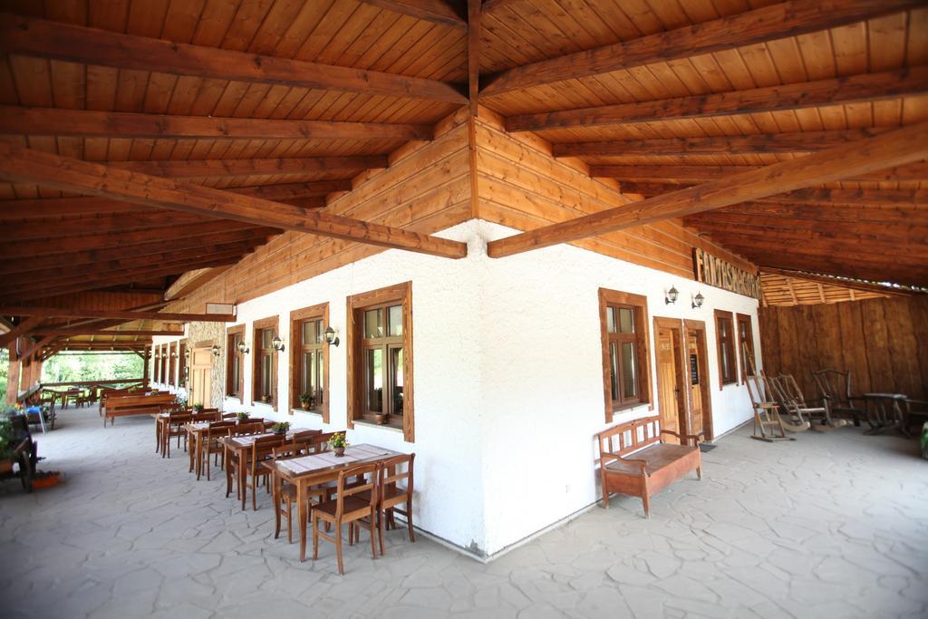 Hotel Siedlisko Brzeziniak à Cisna Extérieur photo